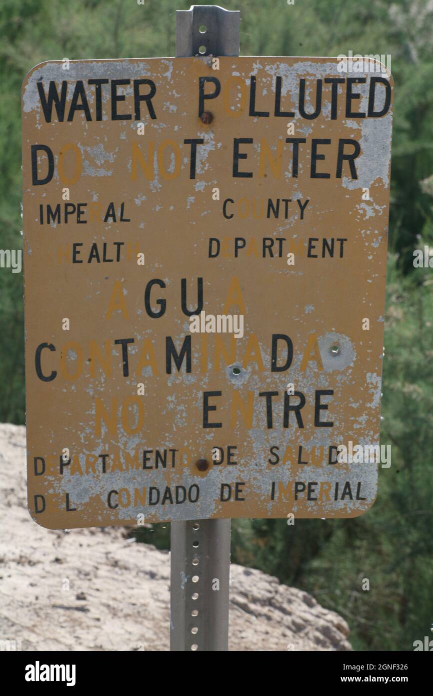 The rise and fall of the Salton Sea a unique ecosystem in southern
