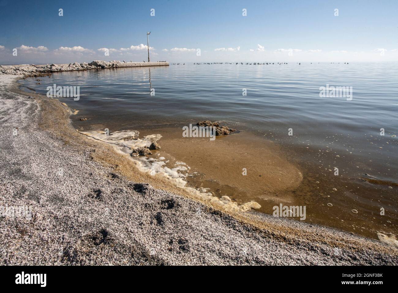 The rise and fall of the Salton Sea a unique ecosystem in southern