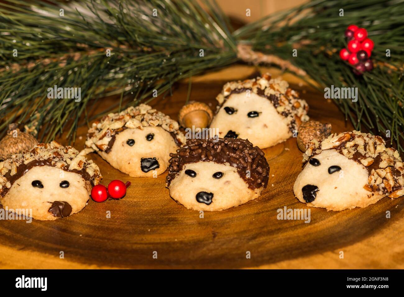 Chocolate Pecan Hedgehog Cookies Stock Photo