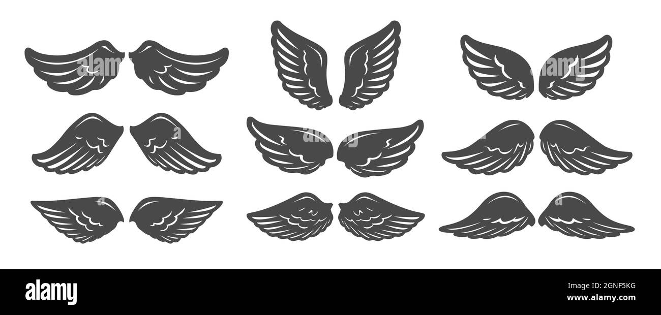 Set wings isolated on white background. Vector illustration Stock ...