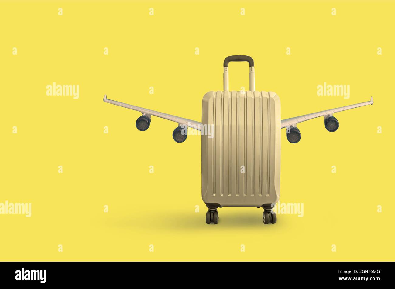 Wings luggage sale