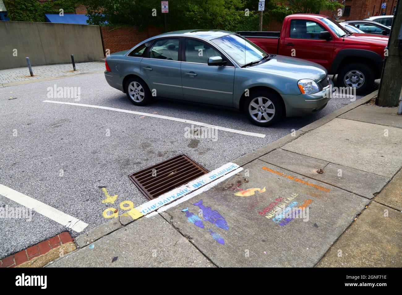 Writing in Spanish language on sidewalk next to a drain telling people not to drop litter that contaminates the Chesapeake Bay, Baltimore, USA Stock Photo