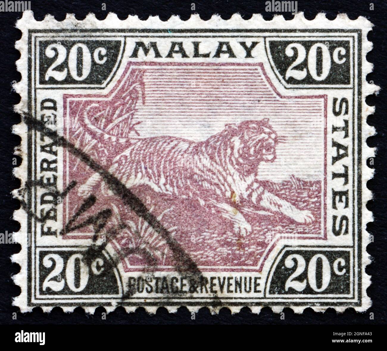 MALAYA - CIRCA 1905: a stamp printed in Malaya shows Tiger, Panthera