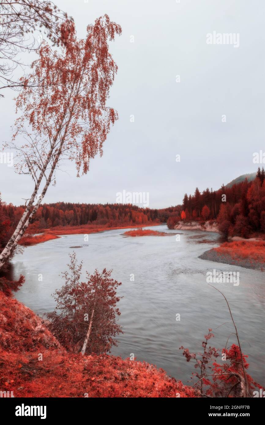 river, mountain landscape with trees,  rocks in red tones Stock Photo