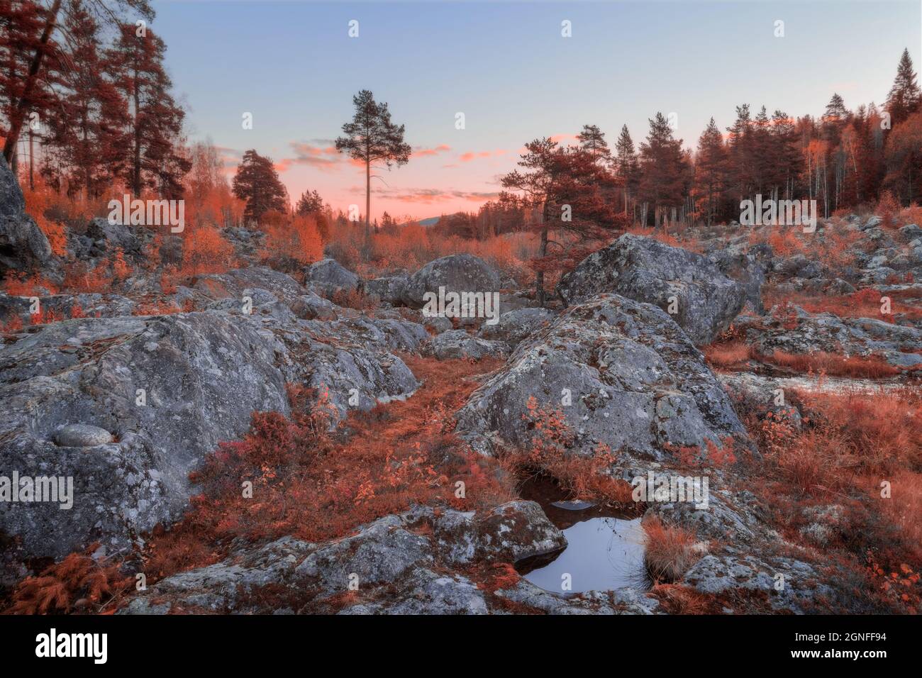 rock moon landscape with trees,  rocks in red tones Stock Photo