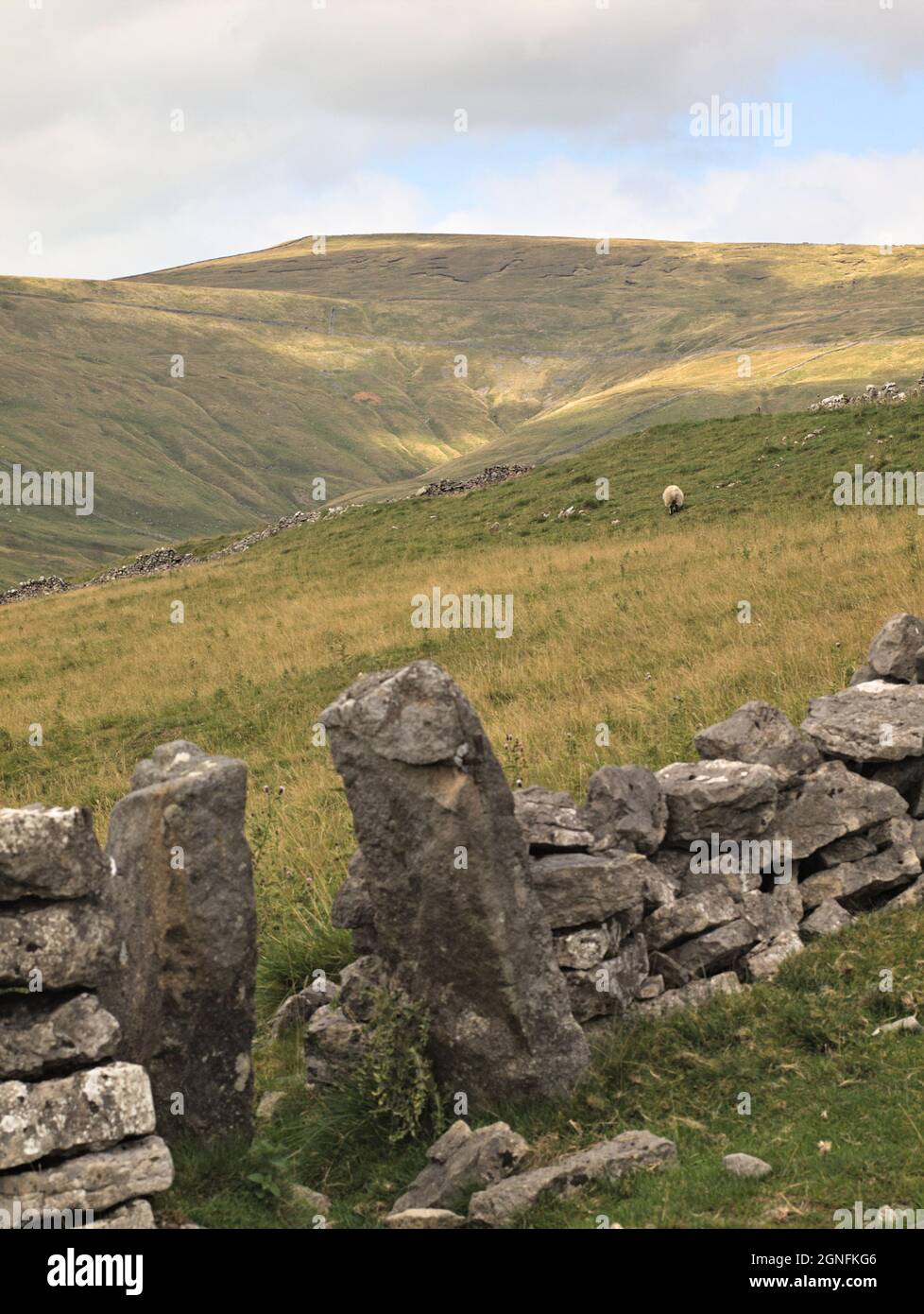 Starbotton Fell from Starbotton Cam Road near Starbotton Cam Pasture Wharfedale Craven Yorkshire Dales NP Stock Photo