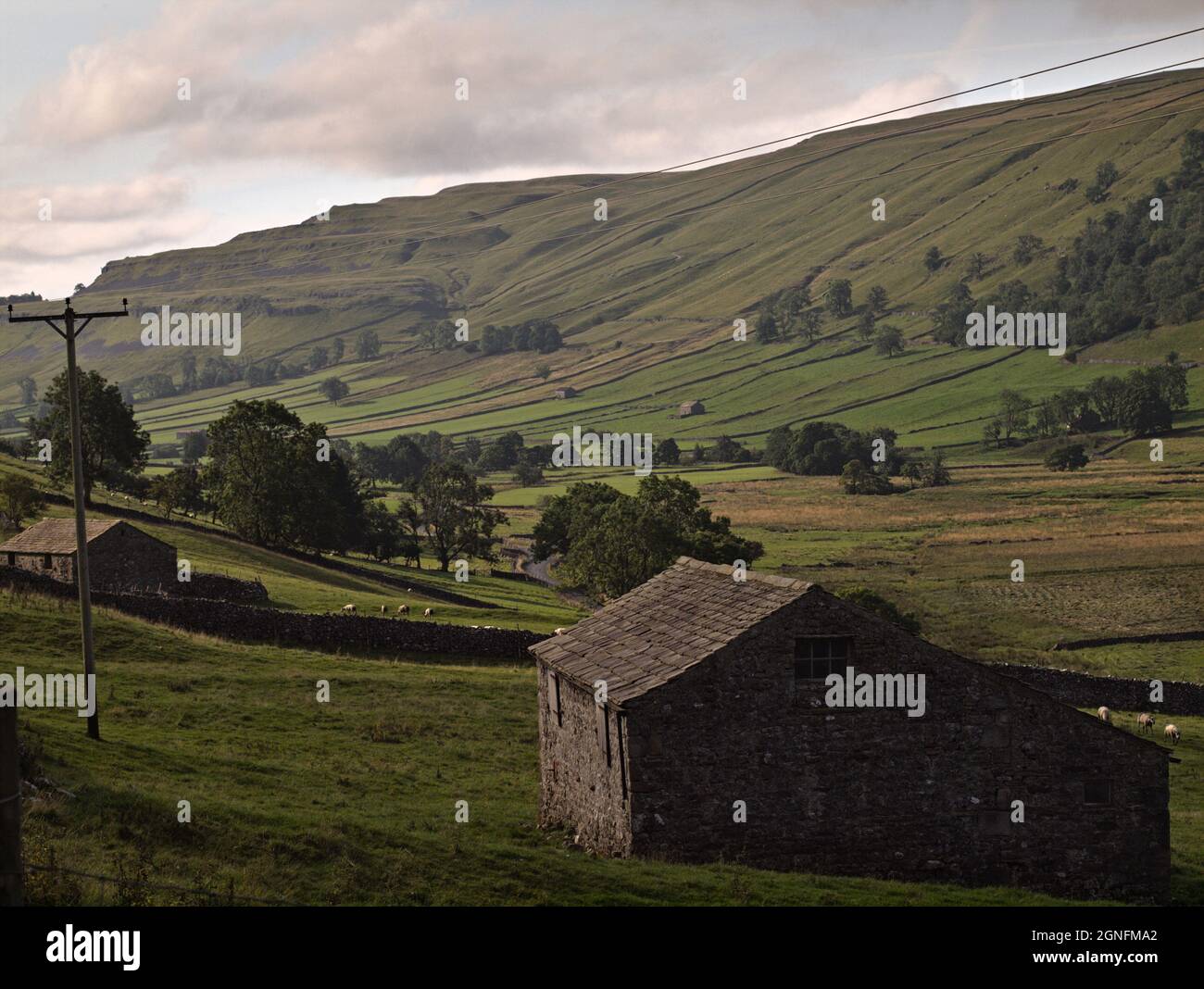 field barns from Kettlewell path Starbotton Wharfedale Craven Yorkshire