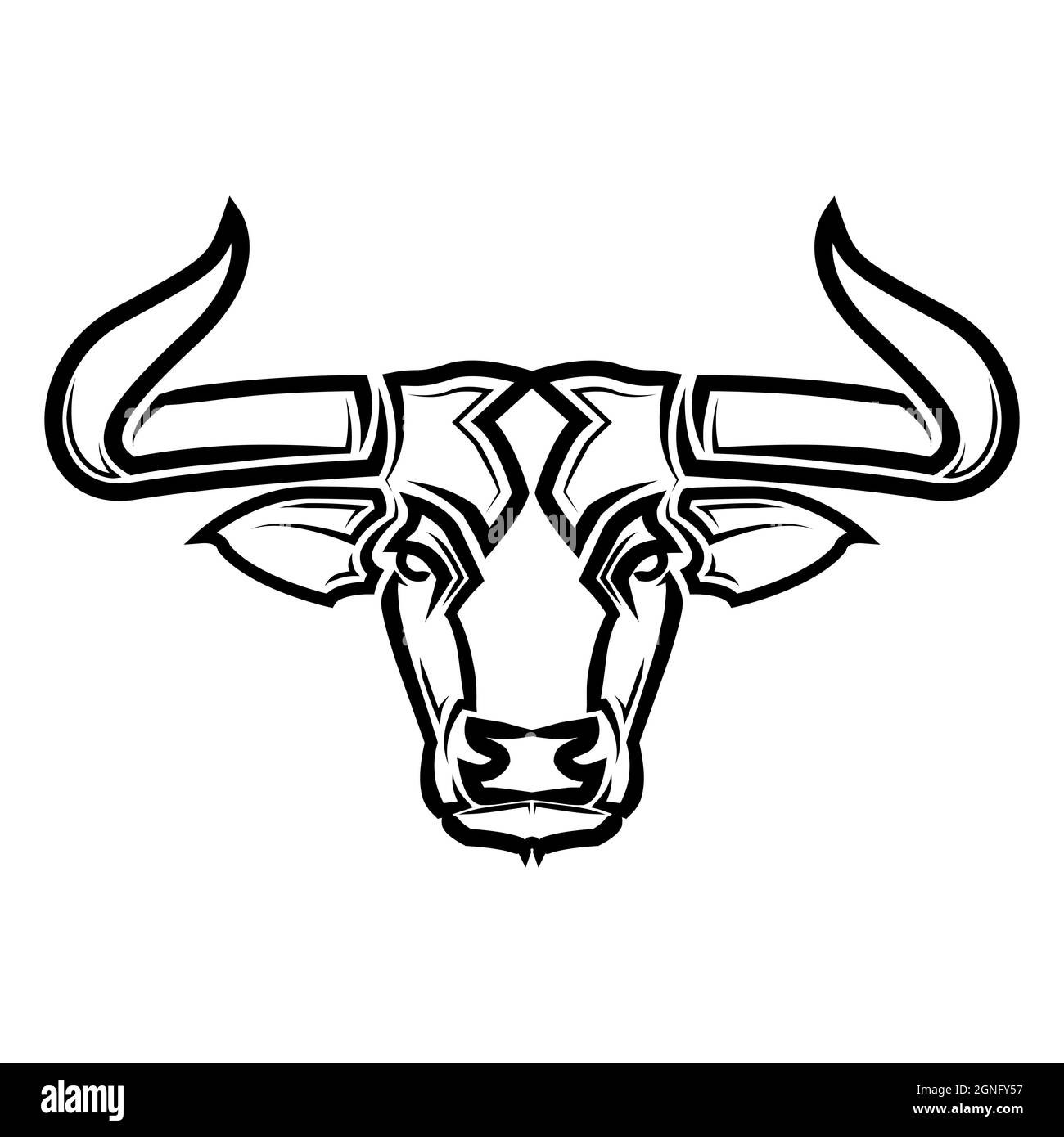 Line Vector Illustration front view of Bull. It is signs of the taurus  zodiac Stock Vector Image & Art - Alamy