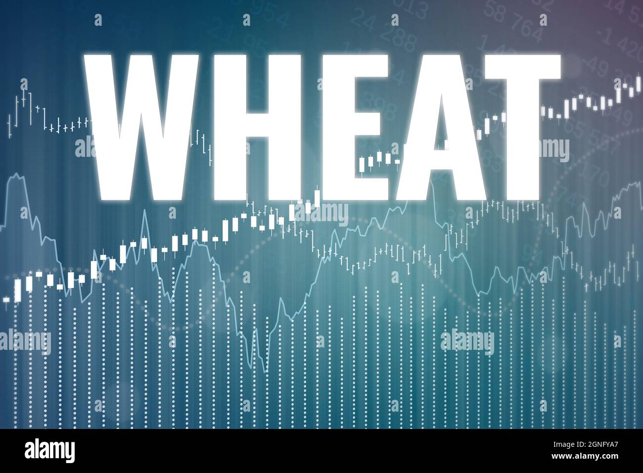 Price change on trading Wheat futures on blue finance background from
