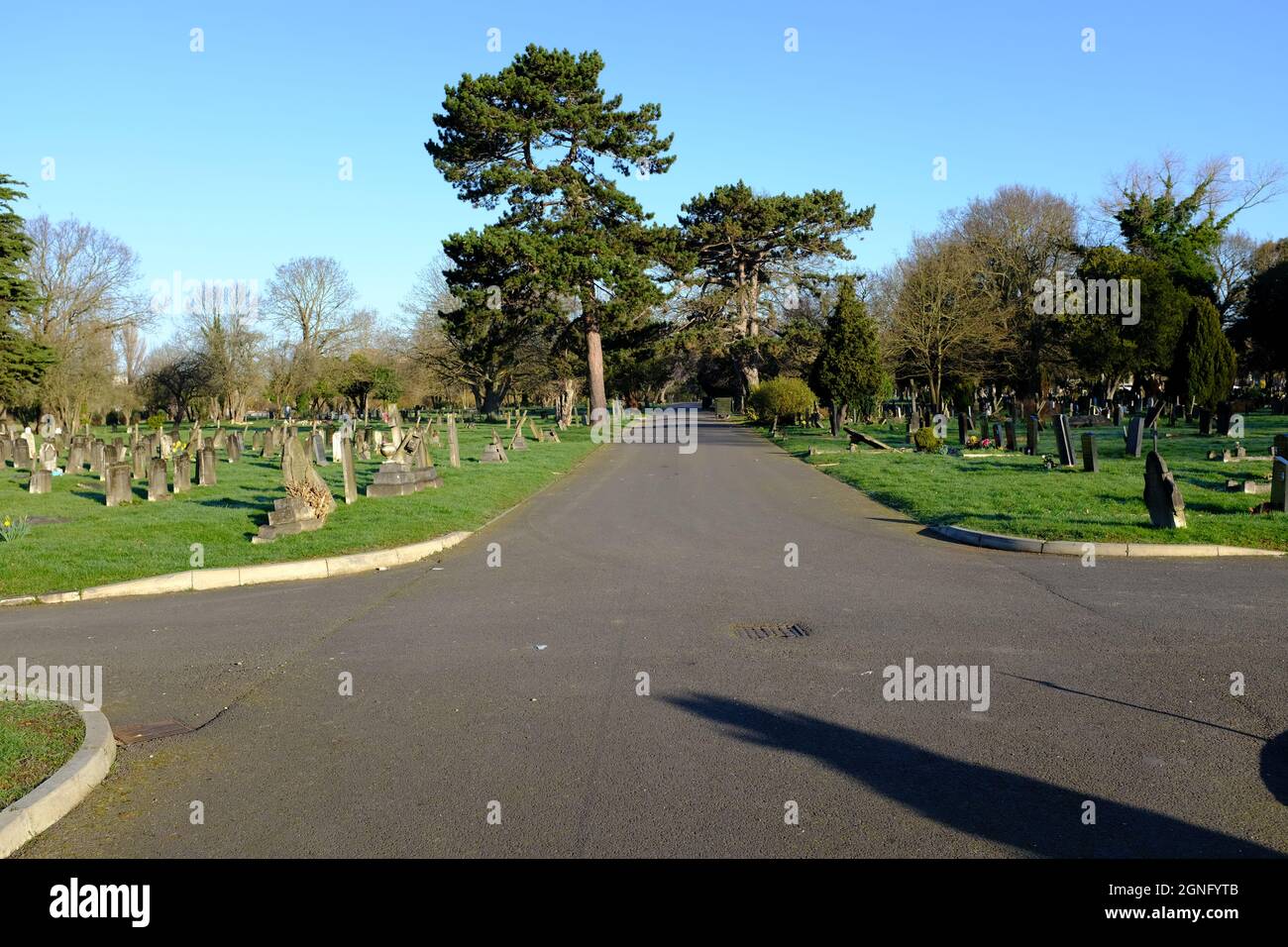 Lambeth Cemetery Tooting London Stock Photo Alamy