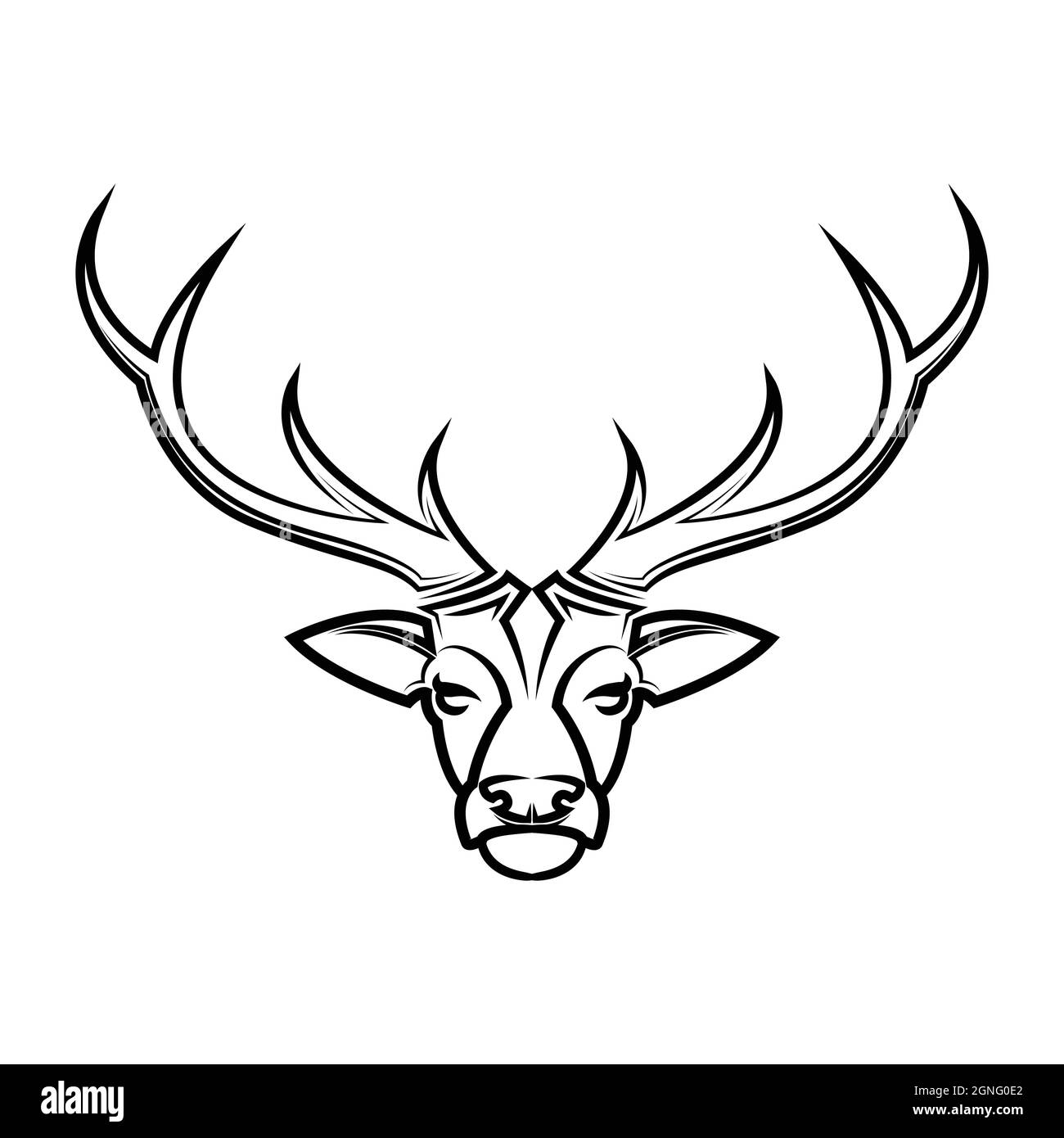 Deer Skull Tattoos  Ideas Designs  Meaning  Tattoo Me Now