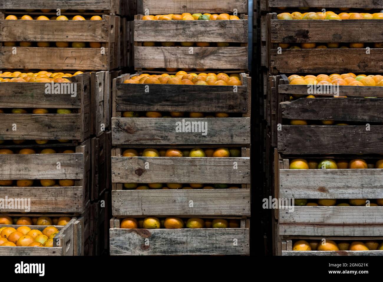 Crates of oranges Stock Photo