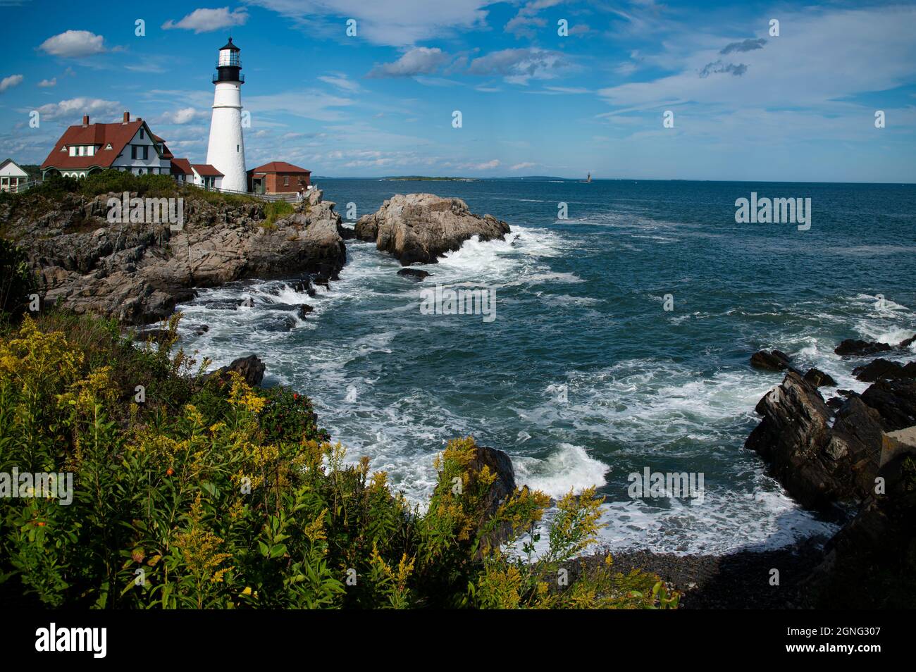Golden rod wildflowers along rocky shore as waves from high tide surround Portland Head lighthouse on a summer day in Maine. Stock Photo