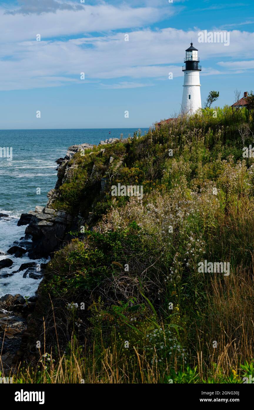 Lighthouse tower of Portland head light overlooks rocky cliff edge with wildflowers in the foreground, looking out to sea. There are many trails visit Stock Photo