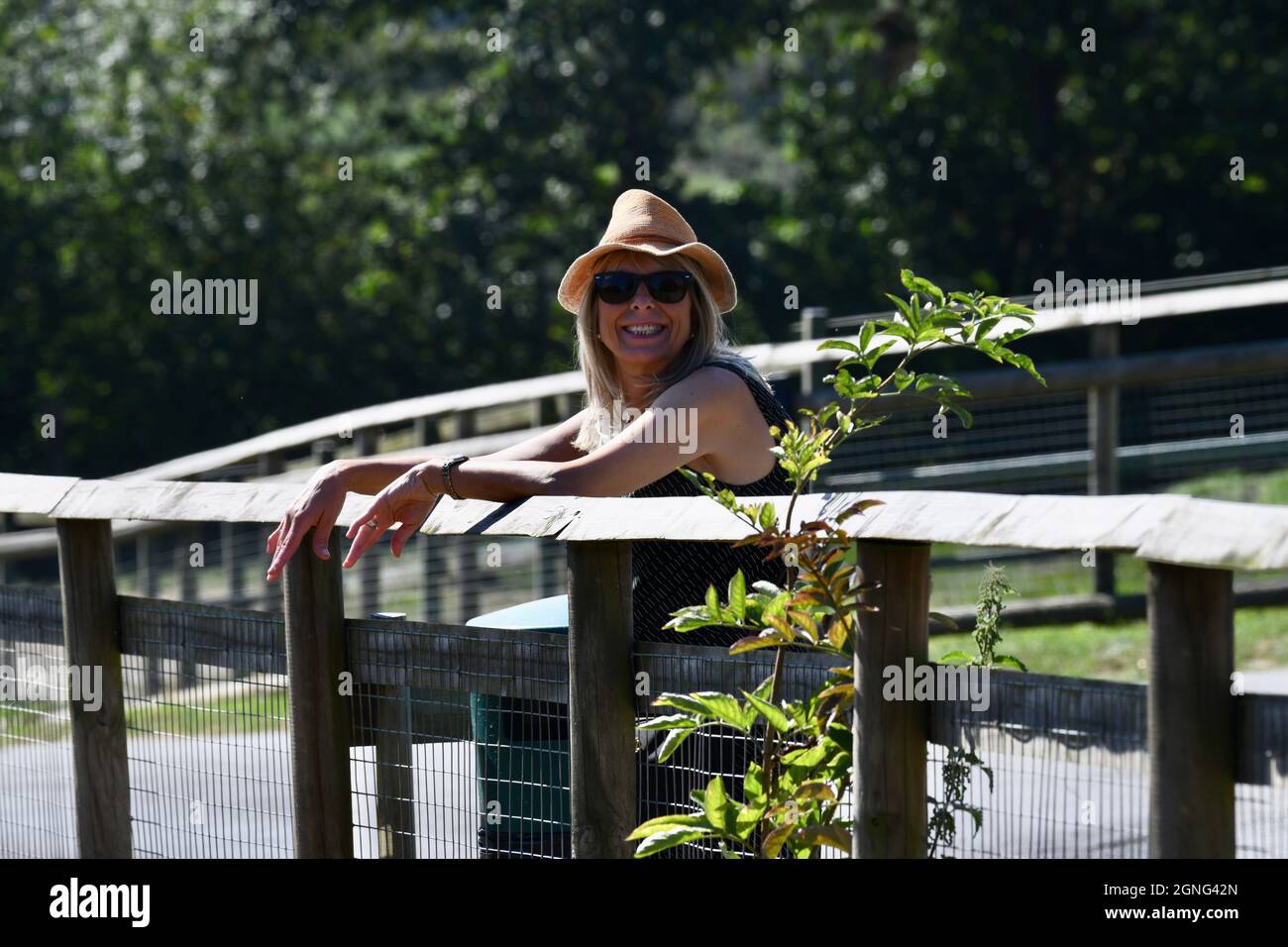 Port Lympne Animal Reserve, Kent UK Stock Photo