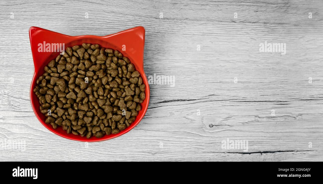 Red cat shaped bowl filled with dry pet food on wooden background. Panoramic image with copy space. Stock Photo