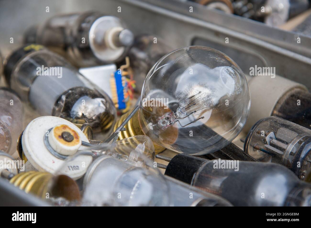 Old light bulbs for recycle Stock Photo Alamy