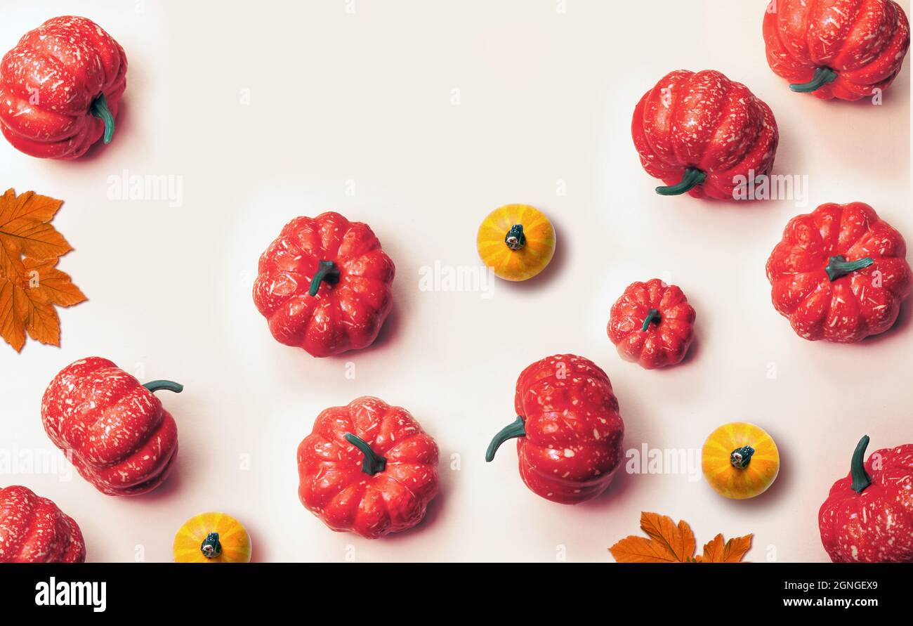 Creative pattern, autumn background. Orange pumpkins on a white background. Halloween. Stock Photo