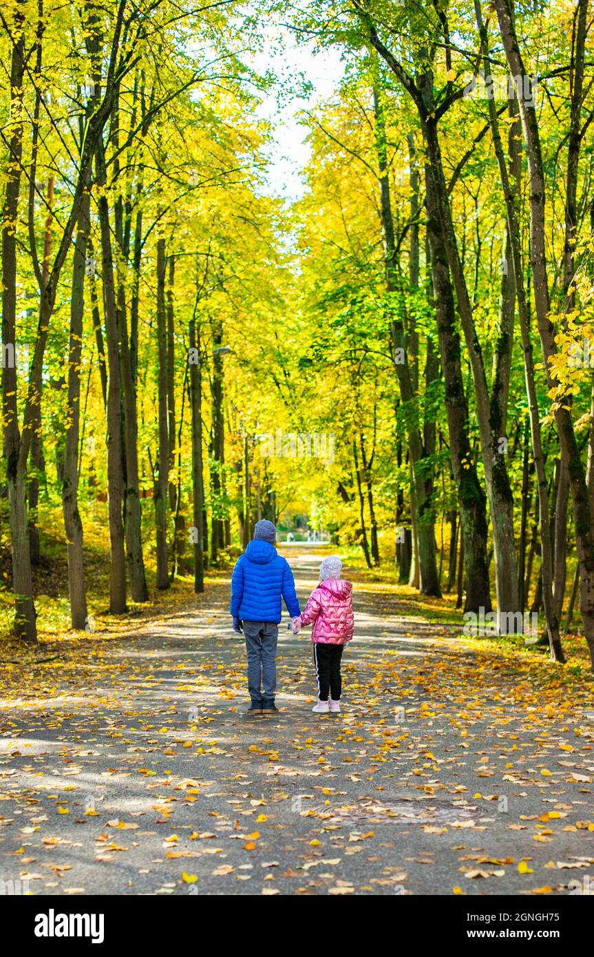 A boy and a girl are standing on an alley among yellow leaves Stock Photo