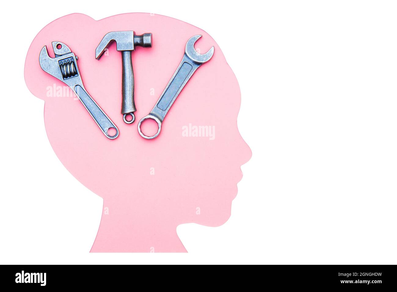 Cut-out woman's head profile silhouette with a kit of small hand tools made of steel isolated on white. Women in engineering and technology. Stock Photo