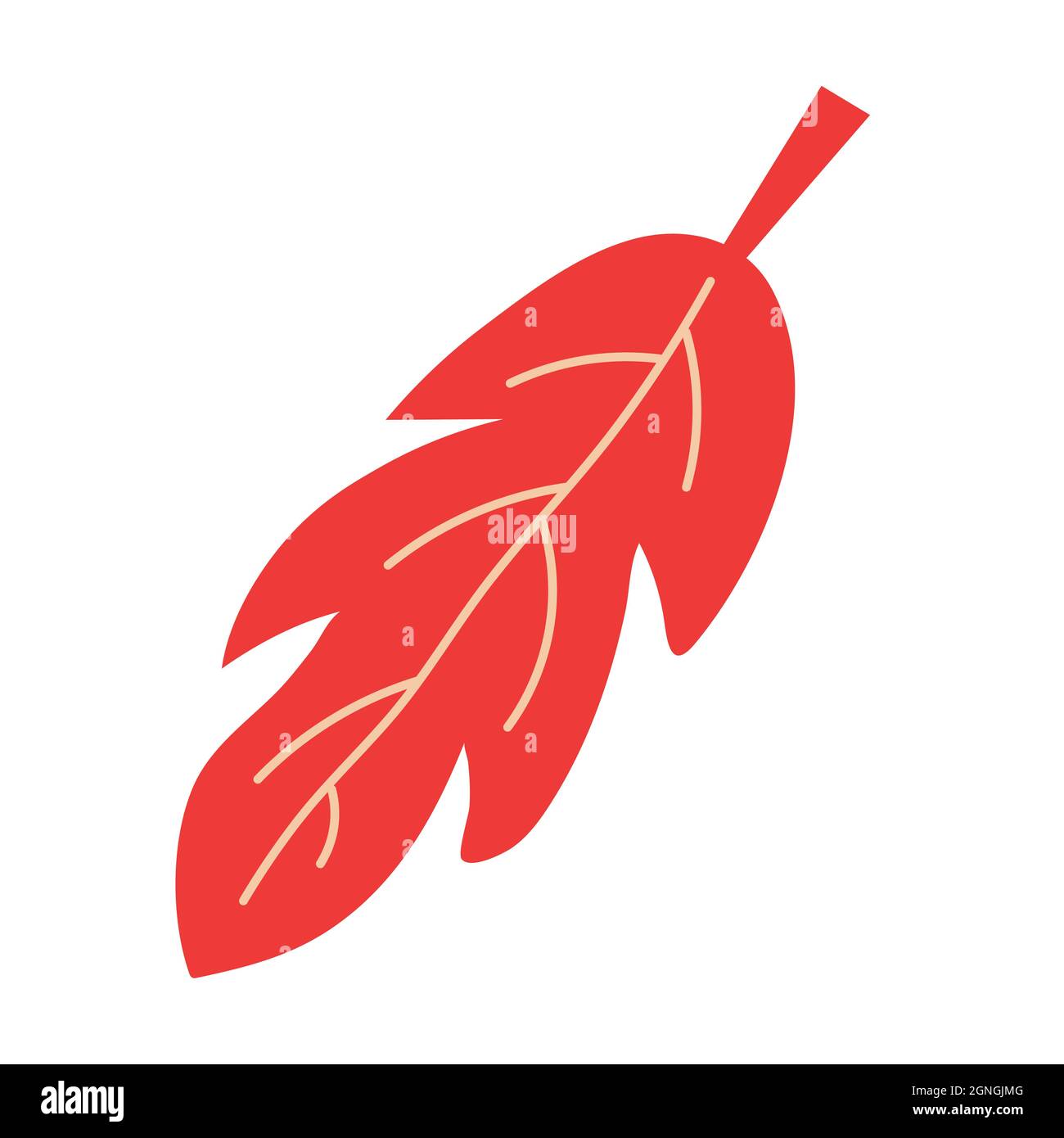 Autumn leaf with tree on isolated background. Autumn time. Elements for