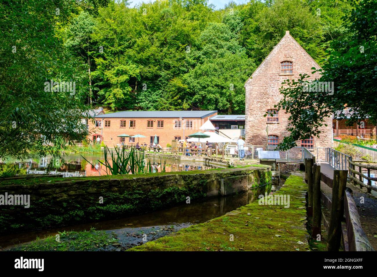 Forest of dean heritage centre hires stock photography and images Alamy