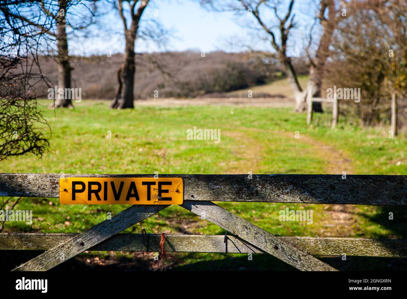 Car number plate PRIVATE sign on closed gate leading to open field and trees. England, UK Stock Photo