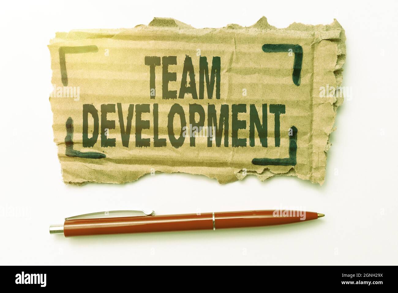 Text showing inspiration Team Development. Business overview learn why ...