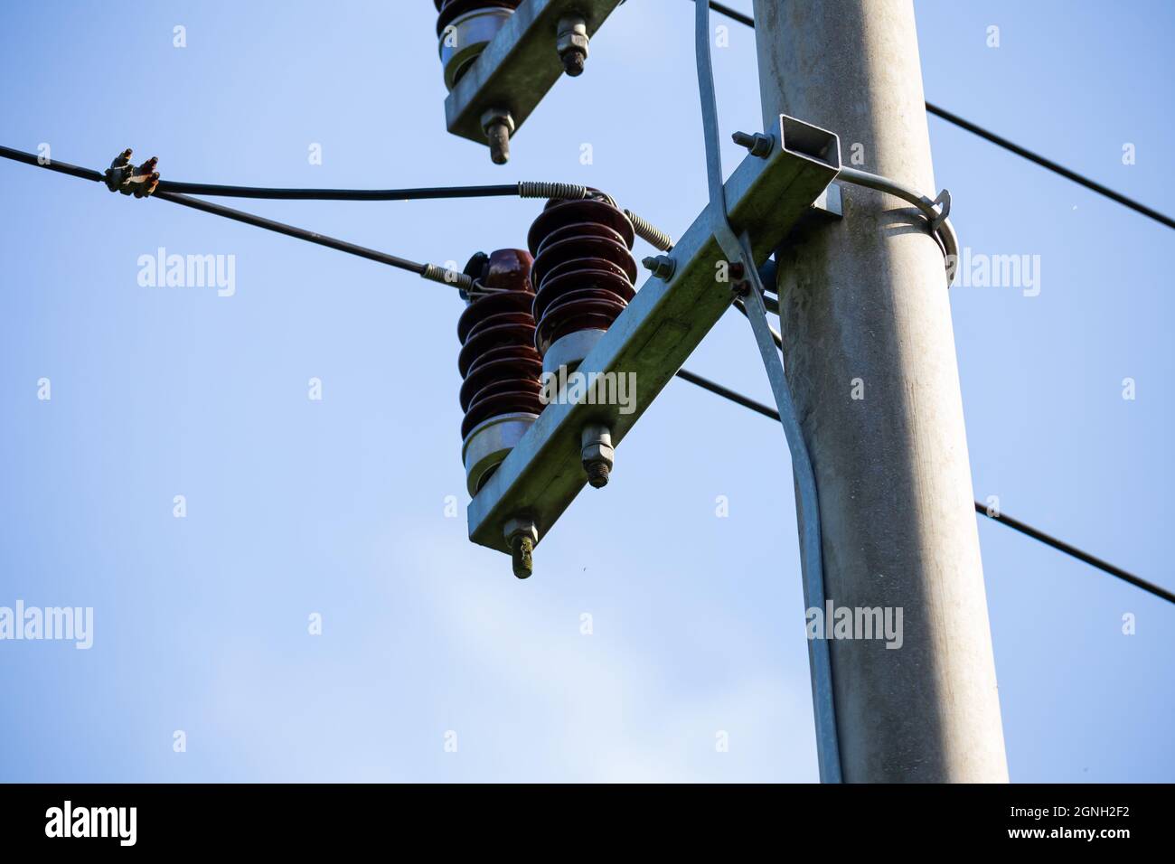 Ceramic insulators on low voltage pylons. Photo taken in good lighting conditions on a sunny day. Stock Photo