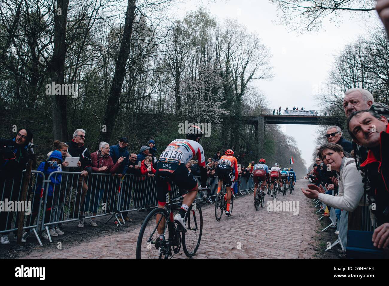 14/04/2019 Paris–Roubaix. It was the 117th edition of Paris–Roubaix. Arenberg forest section of Paris Roubaix. Stock Photo