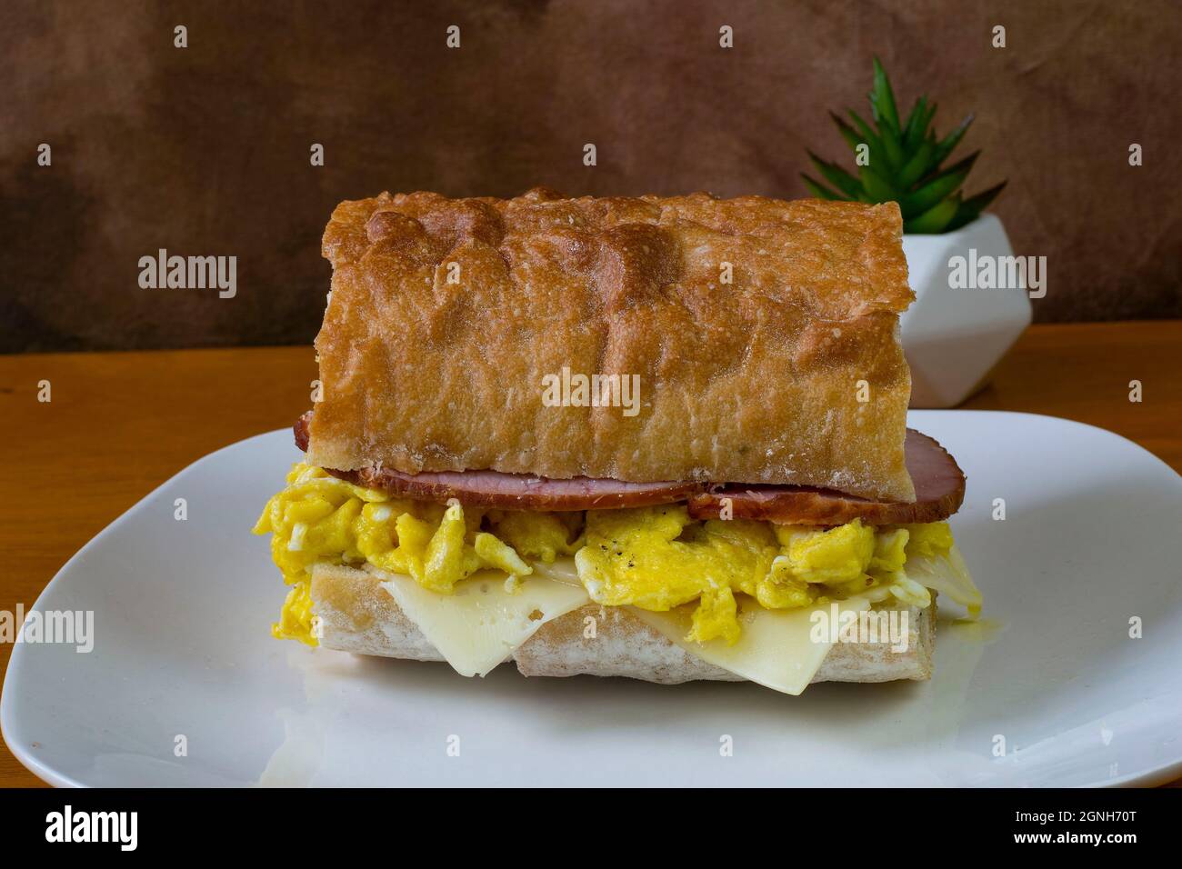 scrambled egg with canadian bacon and swiss cheese on ciabatta Stock