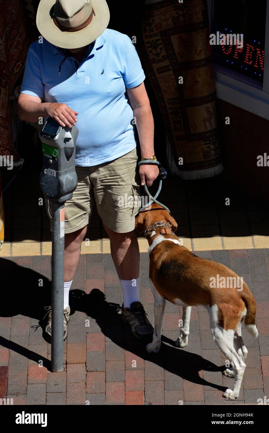 A man traveling with his pet dog prepares to put money in a parking meter in Santa Fe, New Mexico. Stock Photo