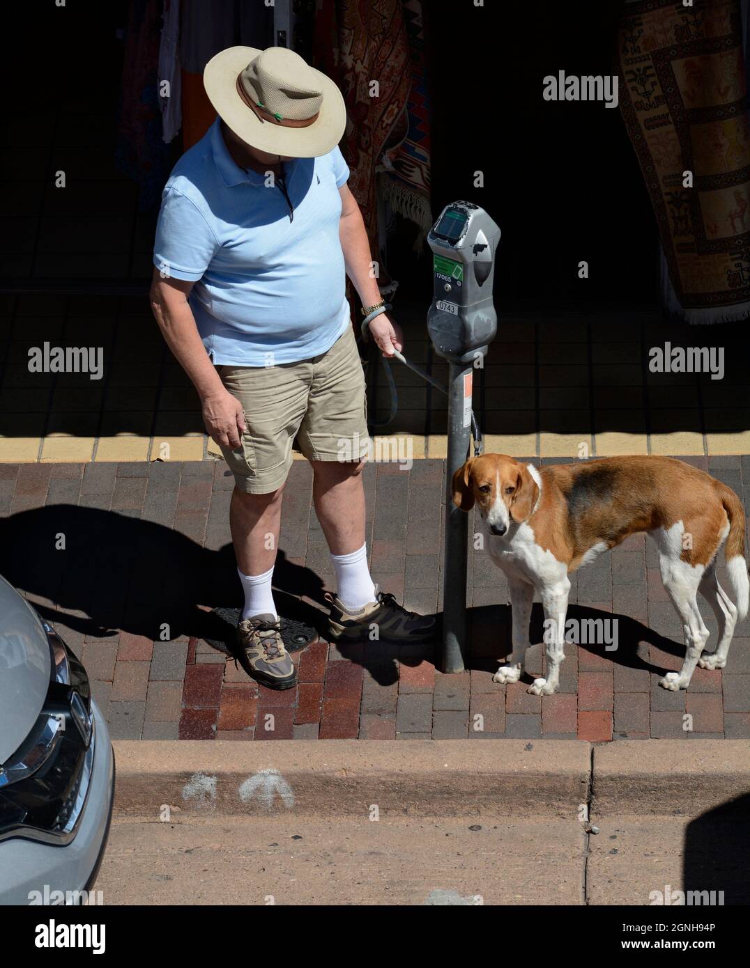 A man traveling with his pet dog prepares to put money in a parking meter in Santa Fe, New Mexico. Stock Photo