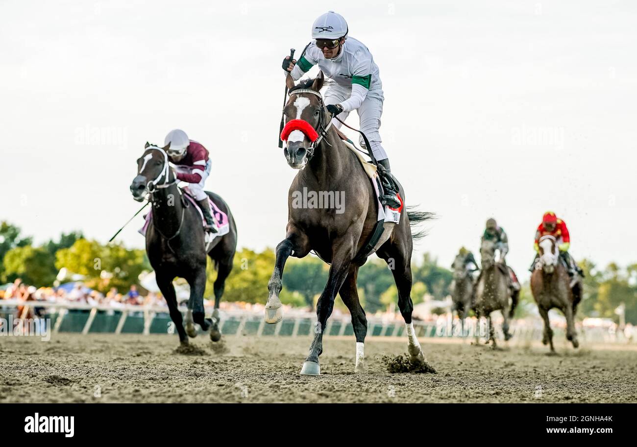 Hot rod charlie horse hi-res stock photography and images - Alamy