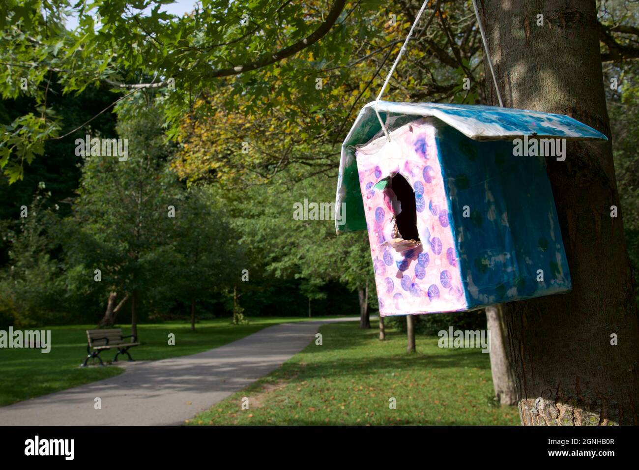 Hand make bird house hanging on a tree in public park Stock Photo