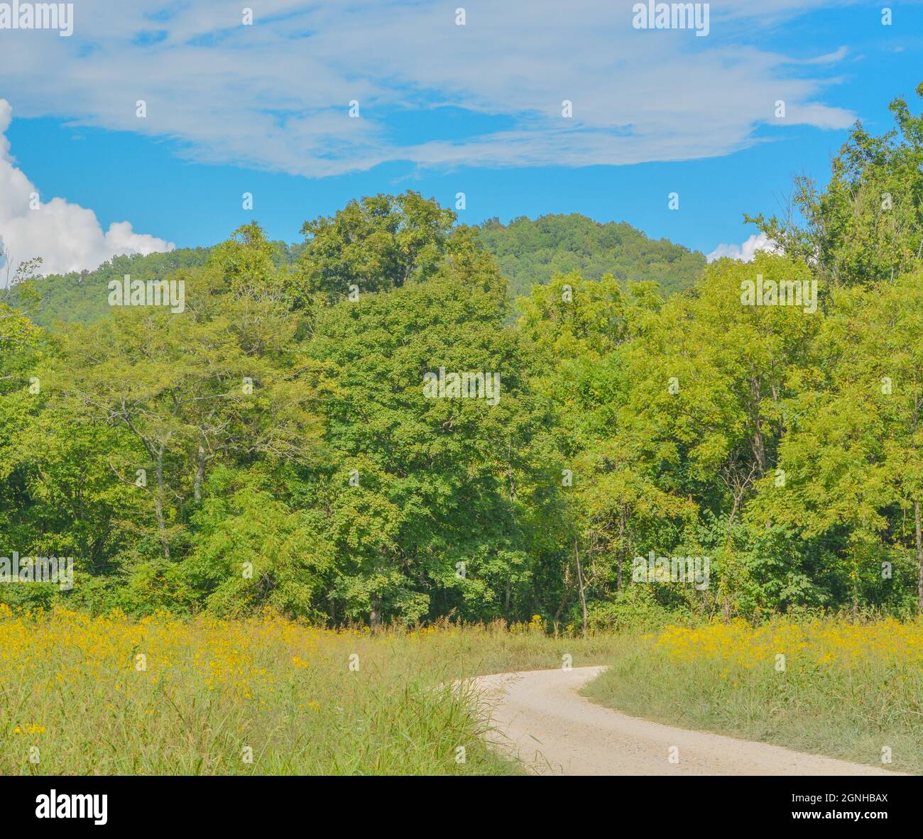 Remote beautiful wilderness hi-res stock photography and images - Alamy