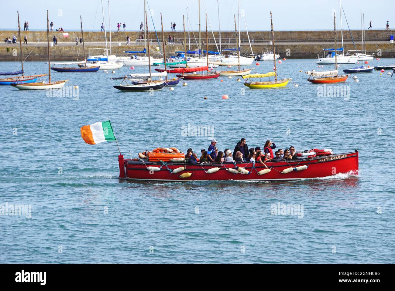 A bright red tour boat flying the flag of Ireland speeds past a fleet of colorful sailboats moored inside the seawall at the village of Howth, Ireland Stock Photo