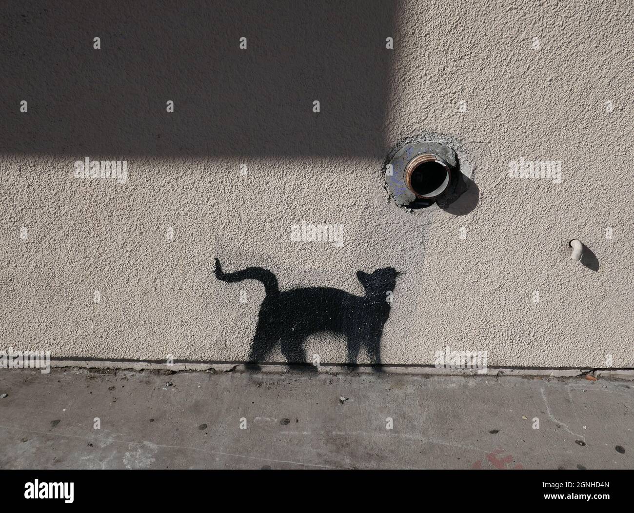 Los angeles mural cat hi-res stock photography and images - Alamy