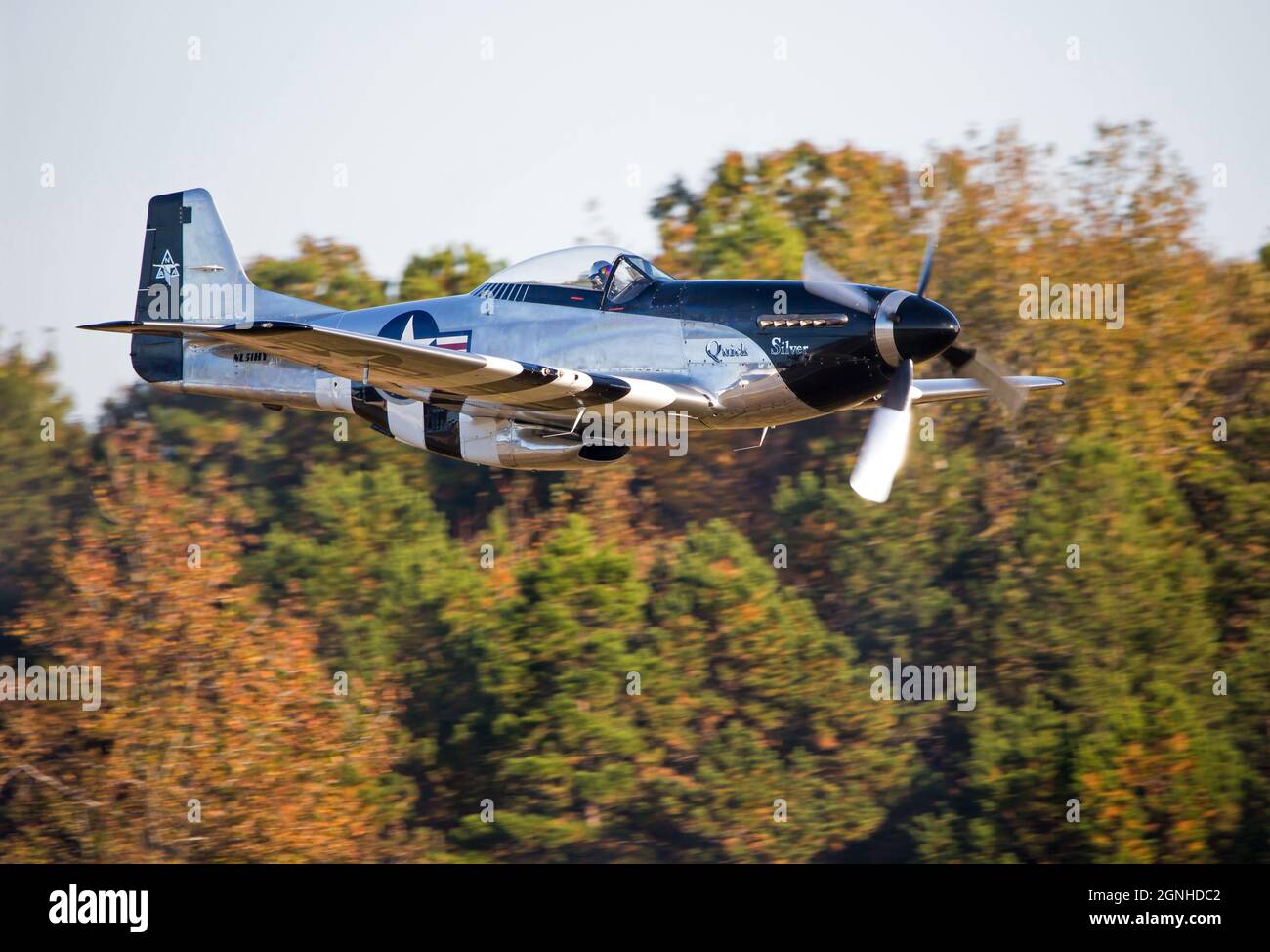 A World War IIera P51 Mustang fighter aircraft flies at treetop level