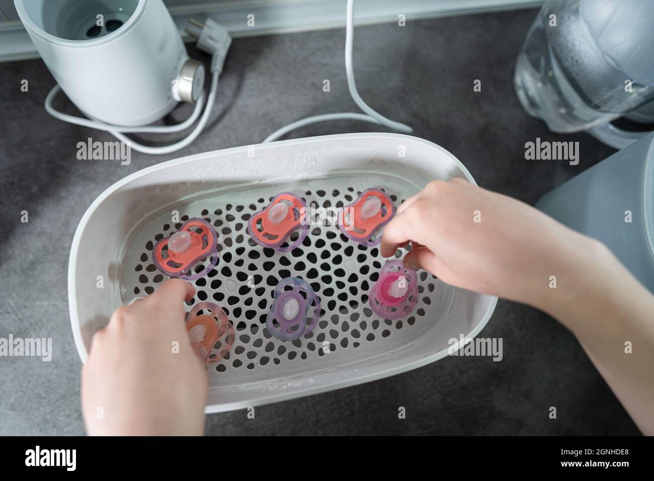 Close up on hand of unknown woman holding hand full of pacifier above electric steam disinfection container on the kitchen counter Stock Photo