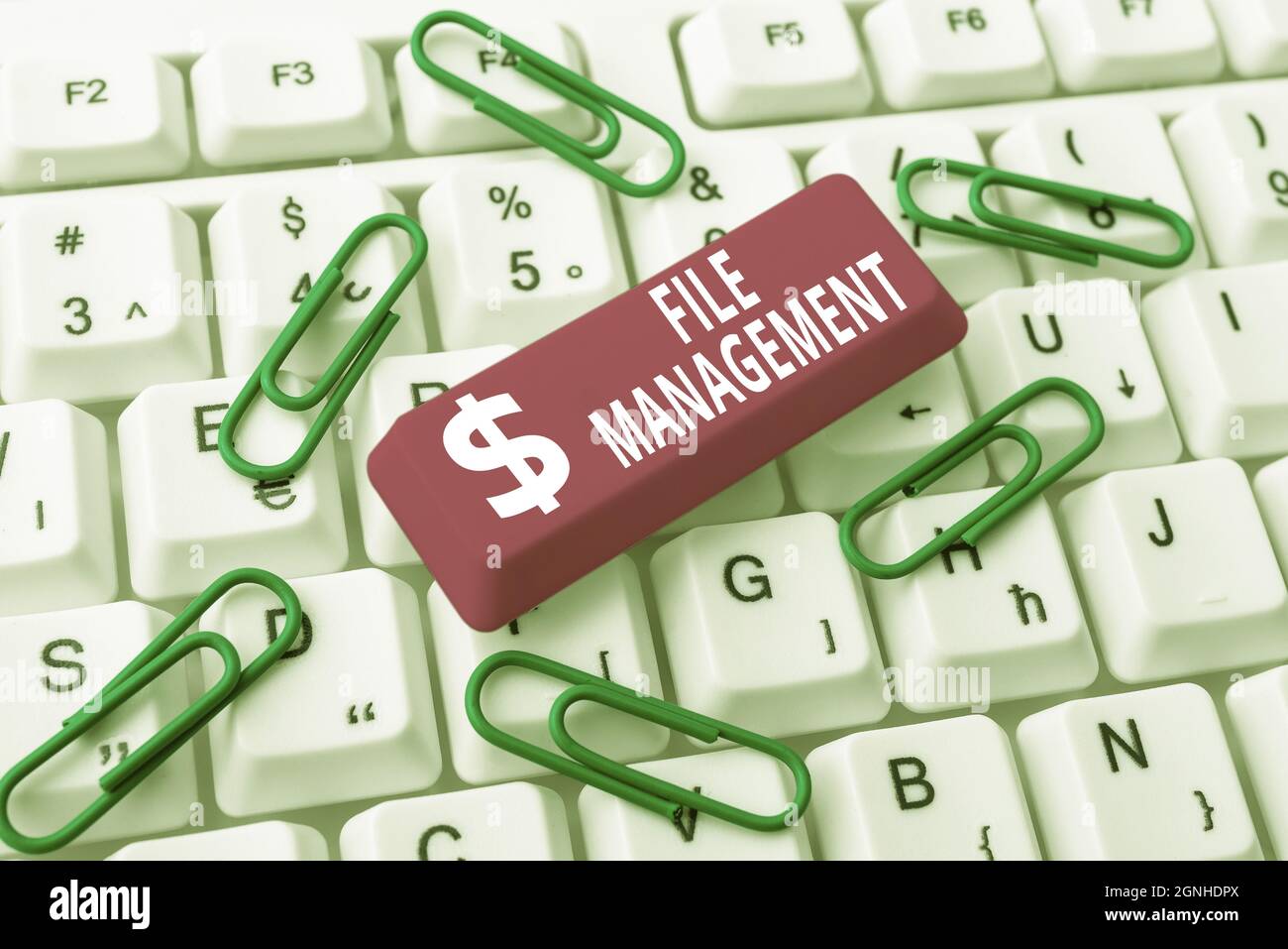 Sign displaying File Management, Business approach computer program that provides user interface to manage data Creating New Word Processing Program, Stock Photo