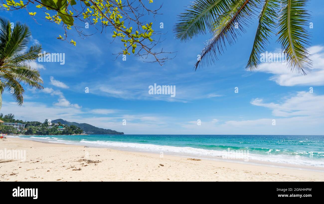 Palm and tropical beach beautiful summer background Stock Photo - Alamy