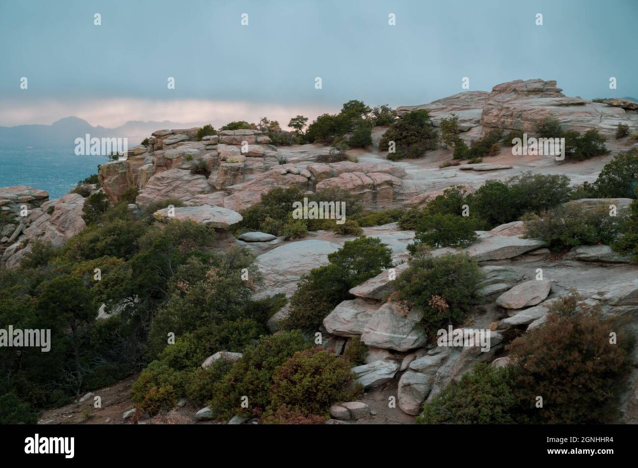 Rocks and trees on Mt. Lemmon near Tucson, Arizona Stock Photo - Alamy