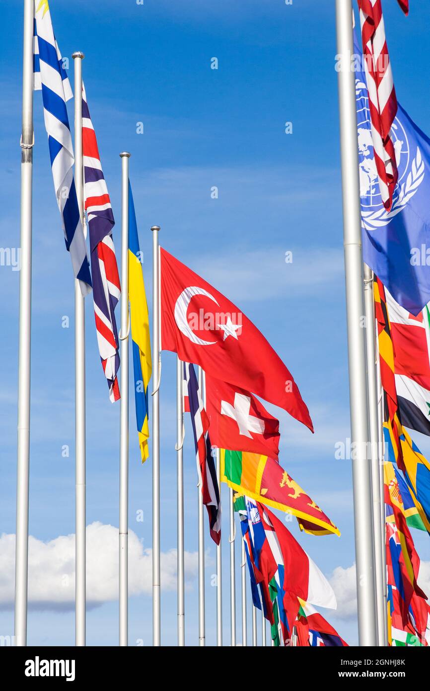 flags of many nations in canberra Stock Photo Alamy