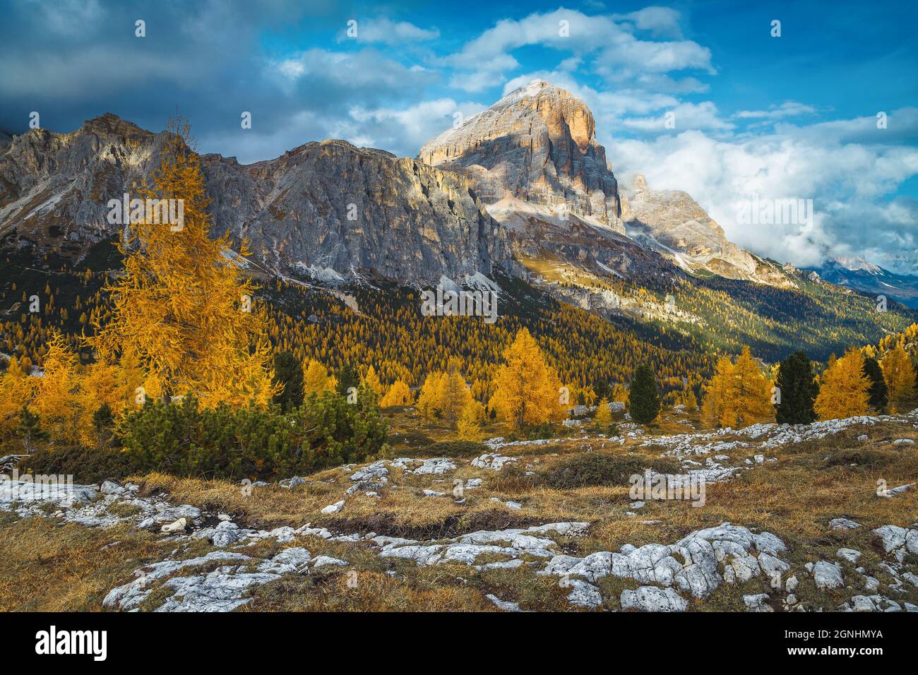 Wonderful autumn alpine scenery with colorful redwood forest and spectacular yellow larch trees. Clouds over the stunning high mountains, Passo Falzar Stock Photo