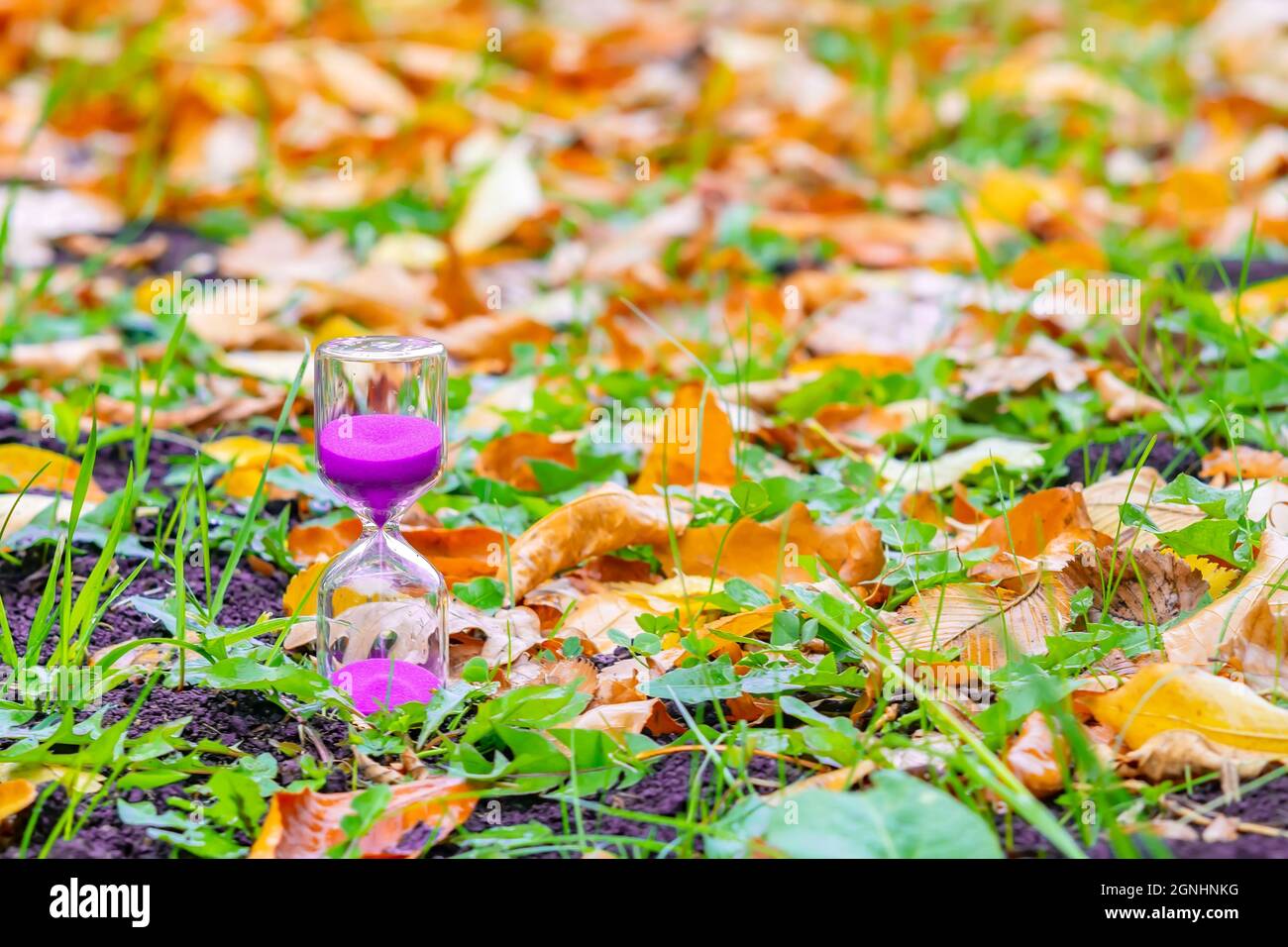 An hourglass stands on the ground among the fallen autumn leaves Stock Photo