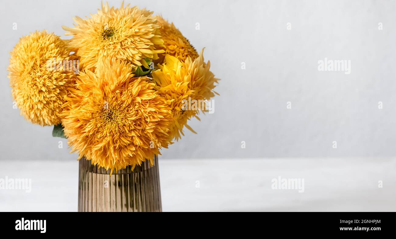 A bouquet of bright sunflowers in a glass vase on a blurred white ...