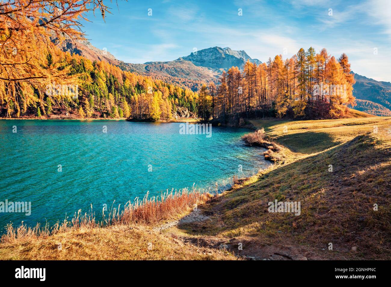 Sunny autumn scene of Sils Lake / Silsersee. Splendid morning view of Swiss Alps, Maloja Region, Upper Engadine, Switzerpand, Europe. Beauty of nature Stock Photo