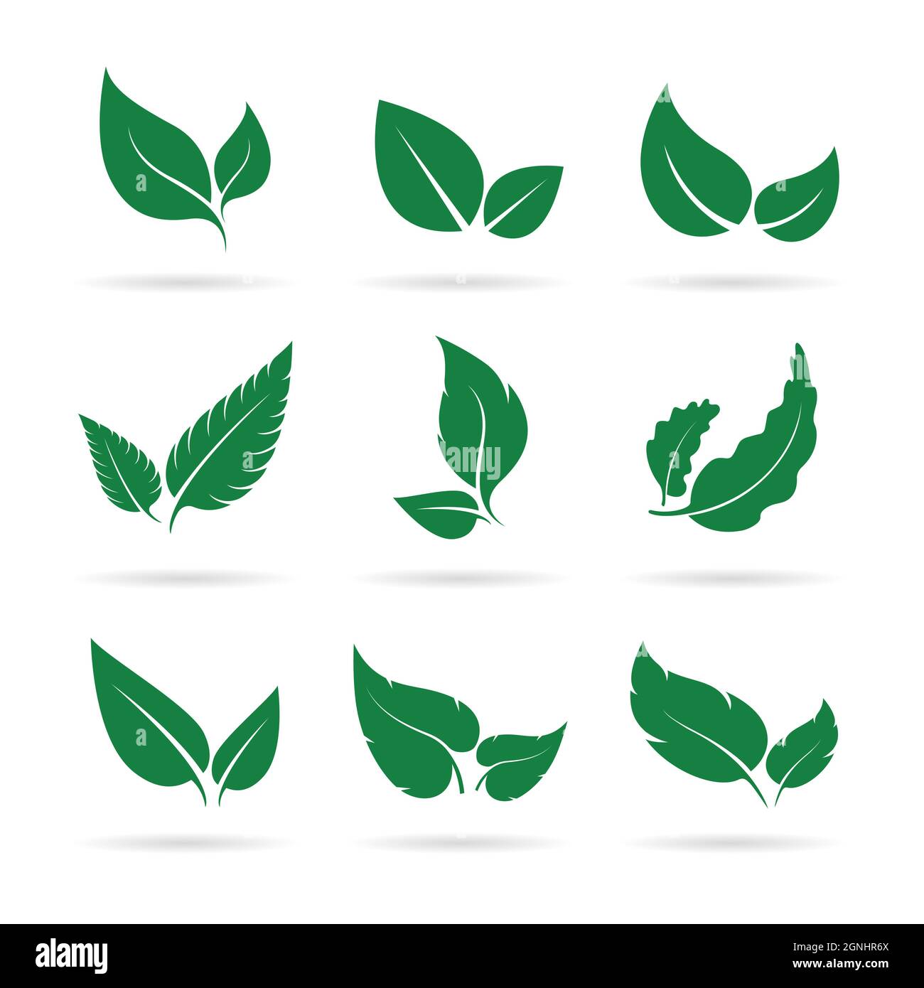 Vector of green leaves icon set design on white background. Easy editable layered vector illustration. Nature. Stock Vector
