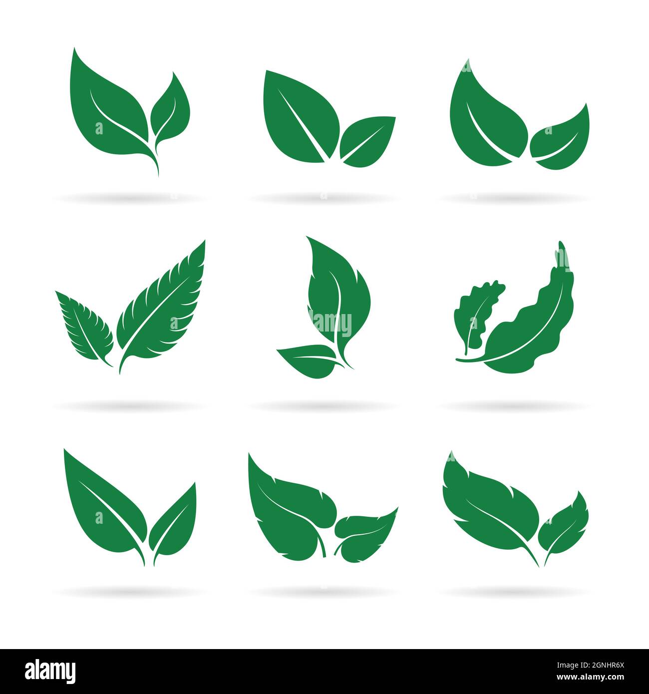 Vector of green leaves icon set design on white background. Easy ...